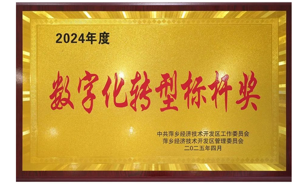 2024年度數(shù)字化轉(zhuǎn)型標(biāo)桿獎(jiǎng)